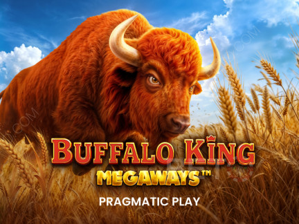 Czech: Buffalo King Megaways Demo
